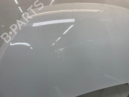 Hood FIAT TALENTO Van (296_) 2.0 EcoJet | BP29899544C1
