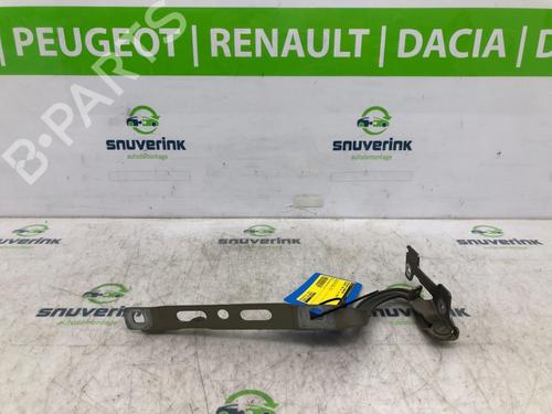 Used Hinge/Door check strap PEUGEOT 208 I (CA_, CC_) 1.2 VTI 82 (82 hp) 16911714