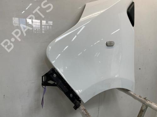 Left front fenders FIAT TALENTO Van (296_) 2.0 EcoJet | BP29827968C41 