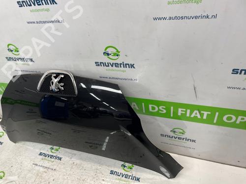 Hood PEUGEOT 107 (PM_, PN_) 1.0 | BP27092711C1
