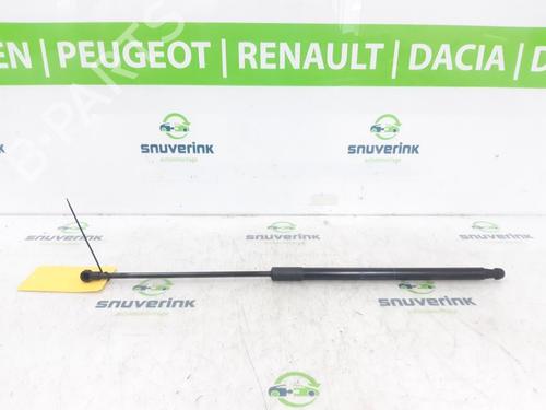Used Hood lift support DACIA DUSTER (HS_) 1.2 TCe 125 (125 hp) 23122859