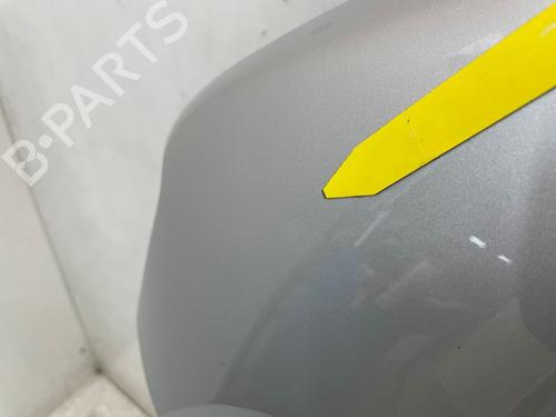 Left front fenders DACIA SPRING EV (B6M1) | BP30186781C41