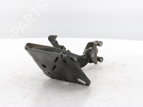 Hinge/Door check strap RENAULT MASTER III Van (FV) 2.3 dCi 165 FWD (FV0P, FV0U, FV11, FV12, FV1E) | BP31592274C146