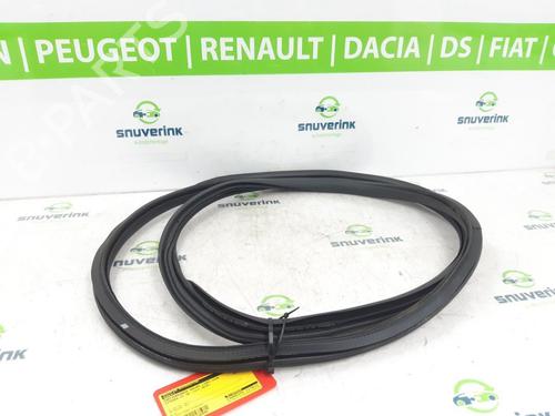 Gummiliste CITROËN C3 III (SX) 1.2 THP 110 (SXHNPS, SXHNZT, SXHNZ6) (110 hp) 24165938