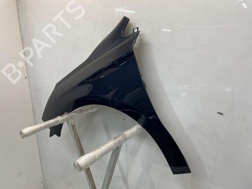 Left front fenders CITROËN C4 II (NC_) 1.6 HDi 115 | BP29899506C41