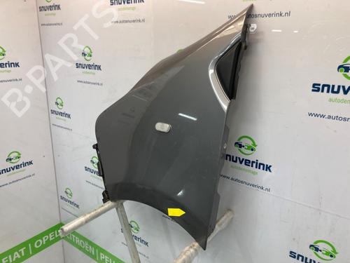 Left front fenders OPEL VIVARO B Van (X82) 1.6 CDTI (05) | BP23120959C41 