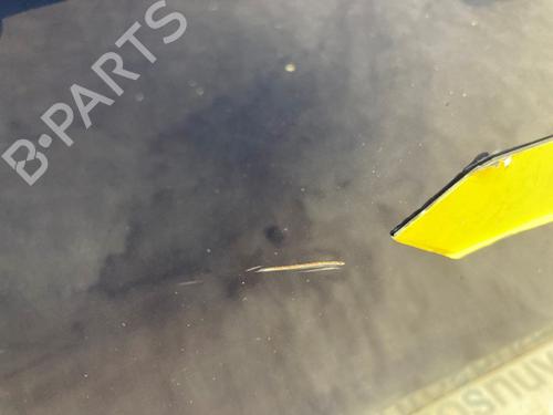 Right front door RENAULT CLIO III Grandtour (KR0/1_) 1.2 16V (KR0P) | BP24300295C3 