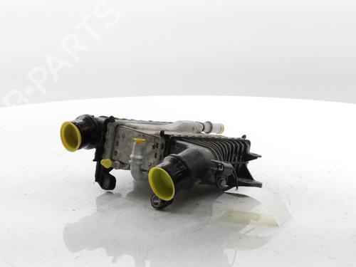 Used Intercooler RENAULT EXPRESS Box Body/MPV 1.5 Blue dCi 75 (F6AA) (75 hp) 29068863