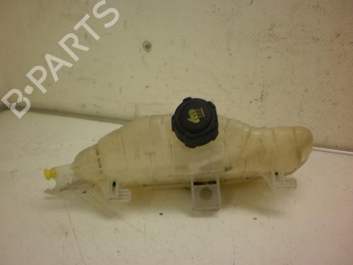Used Expansion tank RENAULT CLIO III Grandtour (KR0/1_) 1.2 16V (KR0P) (101 hp) 24161236