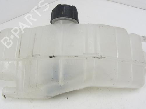 Used Expansion tank RENAULT CLIO III (BR0/1, CR0/1) 1.5 dCi (75 hp) 24161472