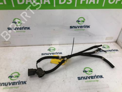 Used Wiring harness RENAULT SCÉNIC III (JZ0/1_) 1.5 dCi (110 hp) 19148012