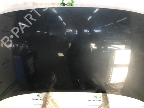 Hood RENAULT SCÉNIC III (JZ0/1_) 1.5 dCi | BP24841344C1 