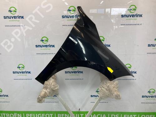 Used Right front fenders RENAULT MEGANE III Grandtour (KZ0/1) 1.5 dCi (KZ09, KZ0D, KZ1G, KZ29, KZ14, KZ1W, KZ10, KZ1F,... (110 hp) 19306675