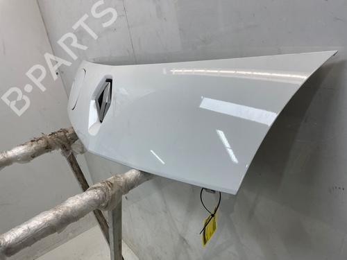 Grill RENAULT KANGOO Express (FW0/1_) Z.E. (FW0Z, FW1Z) | BP34564895C40 - Image 3