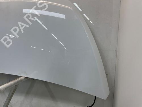 Hood FIAT TALENTO Van (296_) 2.0 EcoJet | BP29899544C1