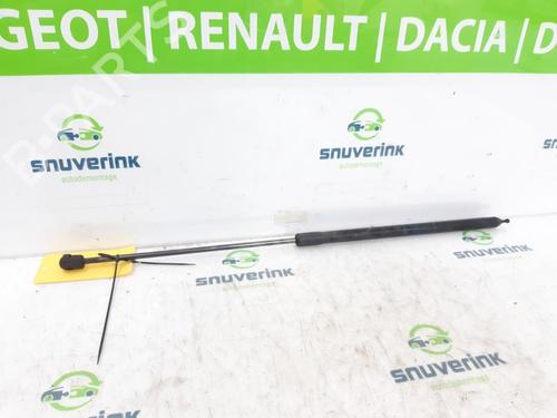 Used Hood lift support RENAULT MEGANE III Grandtour (KZ0/1) 1.5 dCi (KZ09, KZ0D, KZ1G, KZ29, KZ14, KZ1W, KZ10, KZ1F,... (110 hp) 16206055