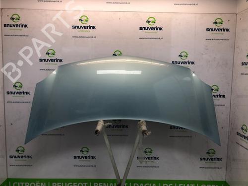 Used Hood RENAULT KANGOO / GRAND KANGOO II (KW0/1_) 1.6 16V (KW03, KW09, KW0D, KW0U, KW0W, KW13) (106 hp) 15387823