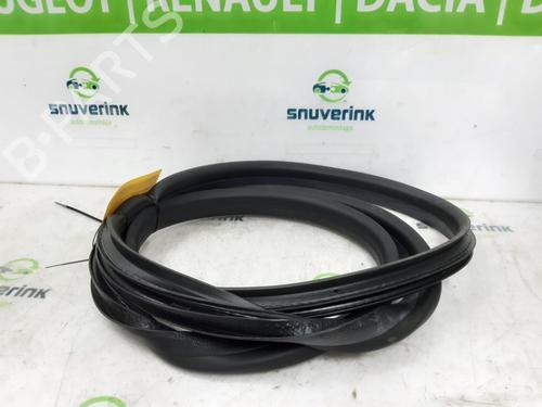 Gummiliste RENAULT SYMBIOZ 1.6 E-Tech 145 | BP24944064C142 - Image 2