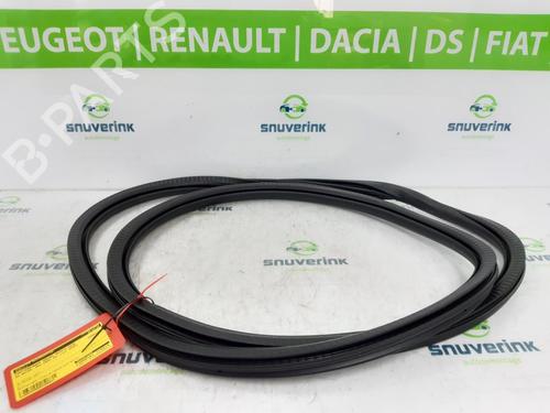 Used Rubber door seal DS DS 3 / DS 3 CROSSBACK (UR_, UC_, UJ_) 1.2 PureTech 130 (URHNSS) (131 hp) 13715890