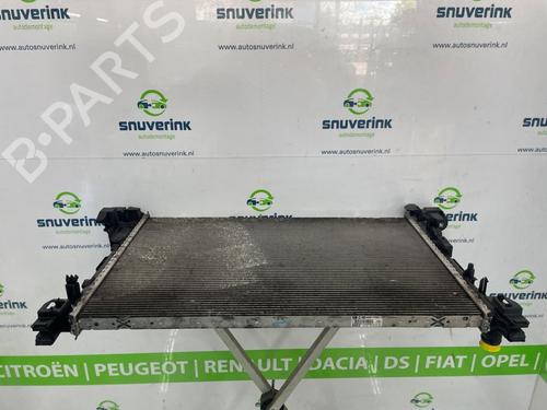 Køler RENAULT TRAFIC III Van (FG_) 1.6 dCi 125 (FGMH) (125 hp) 27093188