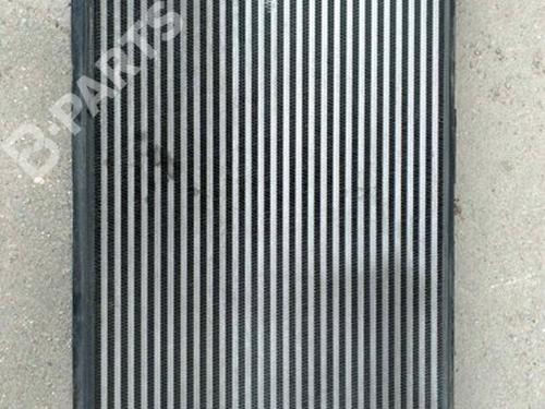 Used Intercooler Intercooler VW GOLF VI (5K1) 2.0 TDI (110 hp) 7460792 7460792