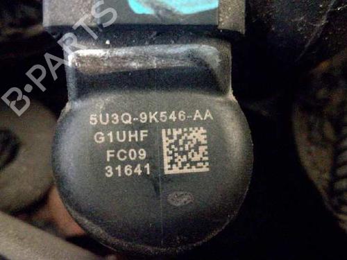 Used Injector Injector JAGUAR XJ (X350, X358) D 2.7 (207 hp) 10252165 10252165