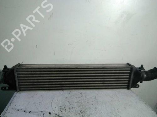 Used Intercooler FIAT BRAVO II (198_) 1.9 D Multijet (198AXC1B) (150 hp) 5077474