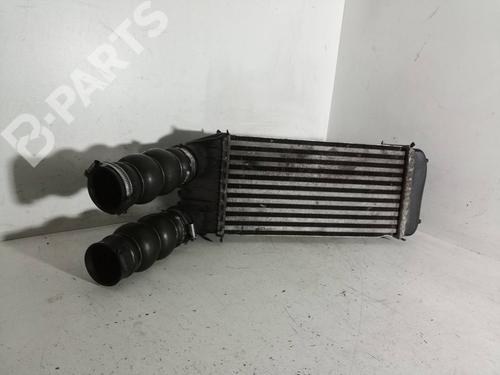 Used Intercooler Intercooler CITROËN JUMPY II (VF7) 2.0 HDi 120 (120 hp) 11059863 11059863