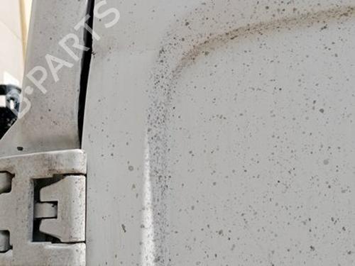 Left rear door FORD TRANSIT Van (FA_ _)  | BP29541610C4 