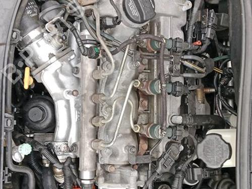 Engine KIA PICANTO I (SA) 1.1 CRDi | BP34164387M1  - Image 6