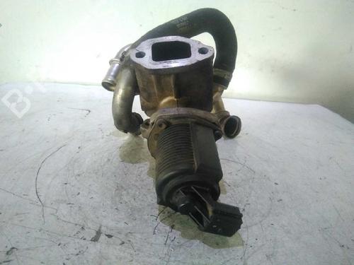 Egr FIAT FIORINO Box Body/MPV (225_)  | BP5021741M69