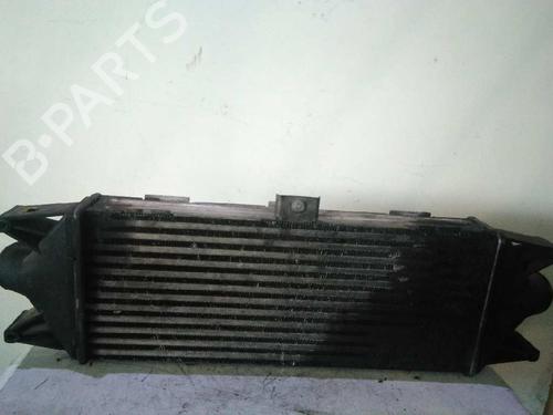 Intercooler IVECO DAILY IV Van  | BP4974970M30 