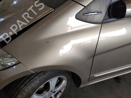 Used Left front fenders MERCEDES-BENZ A-CLASS (W169) A 180 CDI (169.007, 169.307) (109 hp) 10722579
