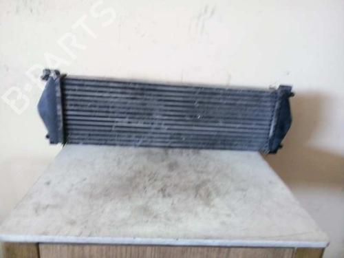 Used Intercooler NISSAN JUKE (F15) [2010-2019]  2581541