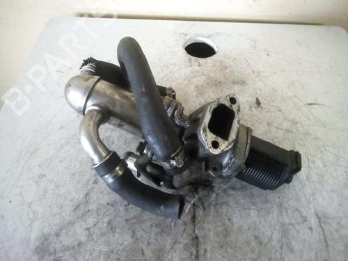 Egr FIAT GRANDE PUNTO (199_)  | BP2811306M69 