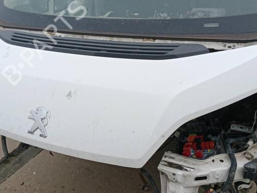 BP31593197C1 main image