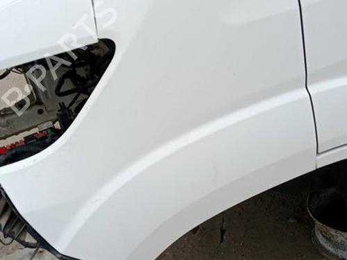 BP31593195C41 main image