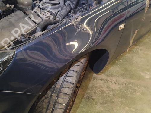 Left front fenders OPEL INSIGNIA A Sports Tourer (G09)  | BP17221867C41 
