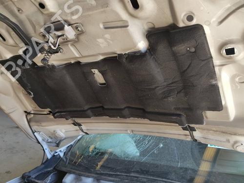 Hood RENAULT MEGANE III Hatchback (BZ0/1_, B3_)  | BP24630003C1 