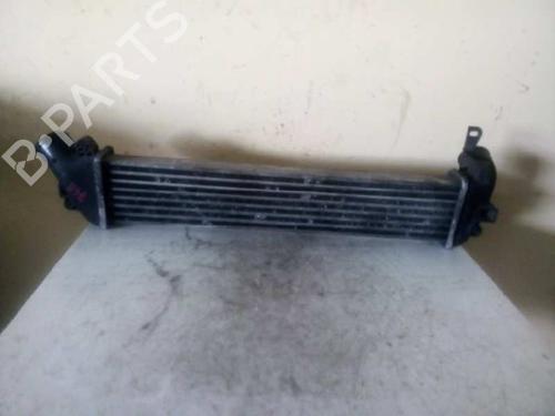 BP2780599M30 | Intercooler RENAULT KANGOO (KC0/1_) 1.5 dCi BP2780599M30