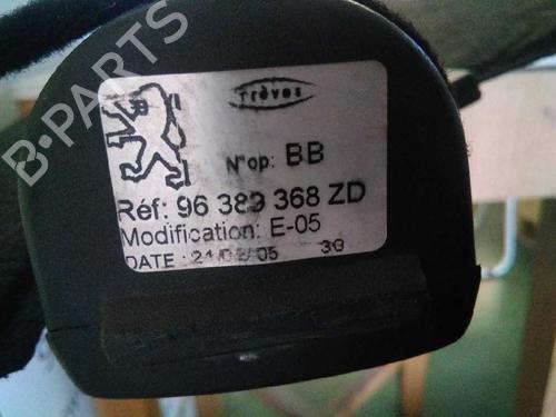 Rear parcel shelf PEUGEOT 307 SW (3H)  | BP3228944C85 