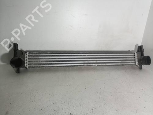 Used Intercooler SEAT IBIZA IV (6J5, 6P1) [2008-2017]  10937839