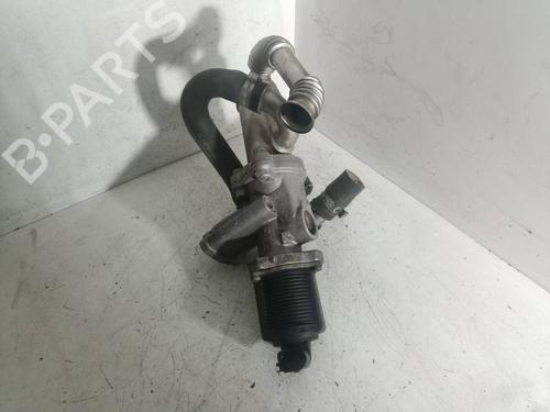 Egr FIAT GRANDE PUNTO (199_) 1.3 D Multijet (199.AXD11, 199.AXD1A, 199.AXD1B,... | BP15774411M69