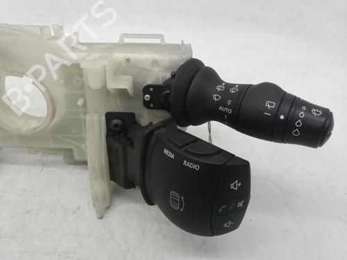 Switch RENAULT SCÉNIC III (JZ0/1_) | BP32371908I30