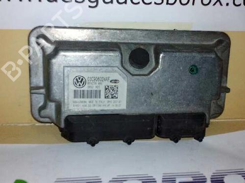Engine control unit (ECU) SEAT IBIZA III (6L1)  | BP2974666M57 