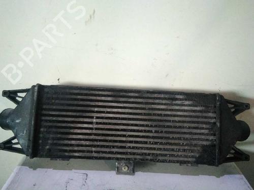 Intercooler IVECO DAILY IV Van  | BP4974971M30 