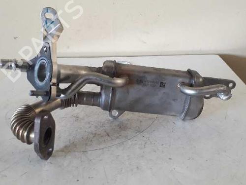 Used Egr NISSAN JUKE (F15) [2010-2019]  14302839