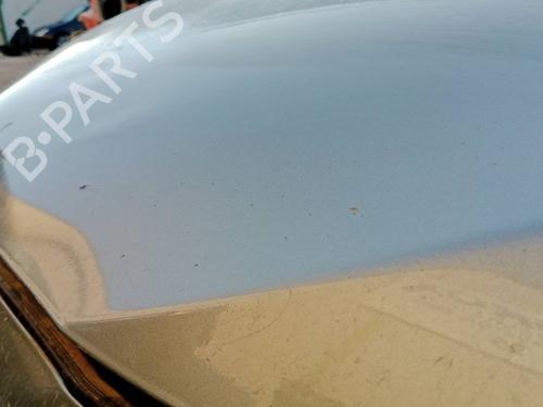 Hood TOYOTA VERSO (_R2_)  | BP29735796C1 
