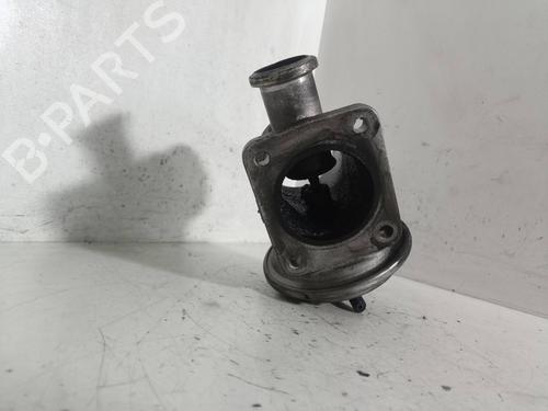 Egr BMW 5 (E39)  | BP13466888M69 