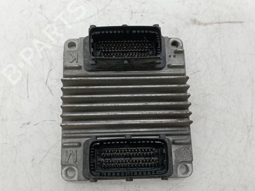 Эротикалық куннилингус бейне